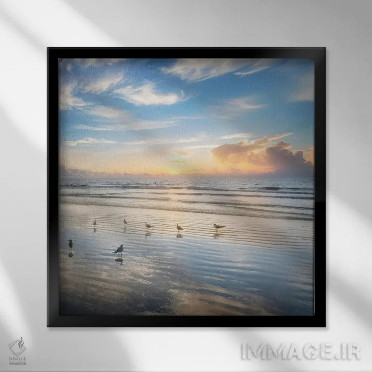 تابلو زیبایی صبحگاهی اثر اندی اموس - نمای قابدار مشکی