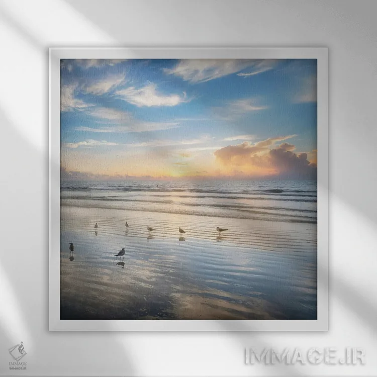 تابلو زیبایی صبحگاهی اثر اندی اموس - نمای قابدار سفید