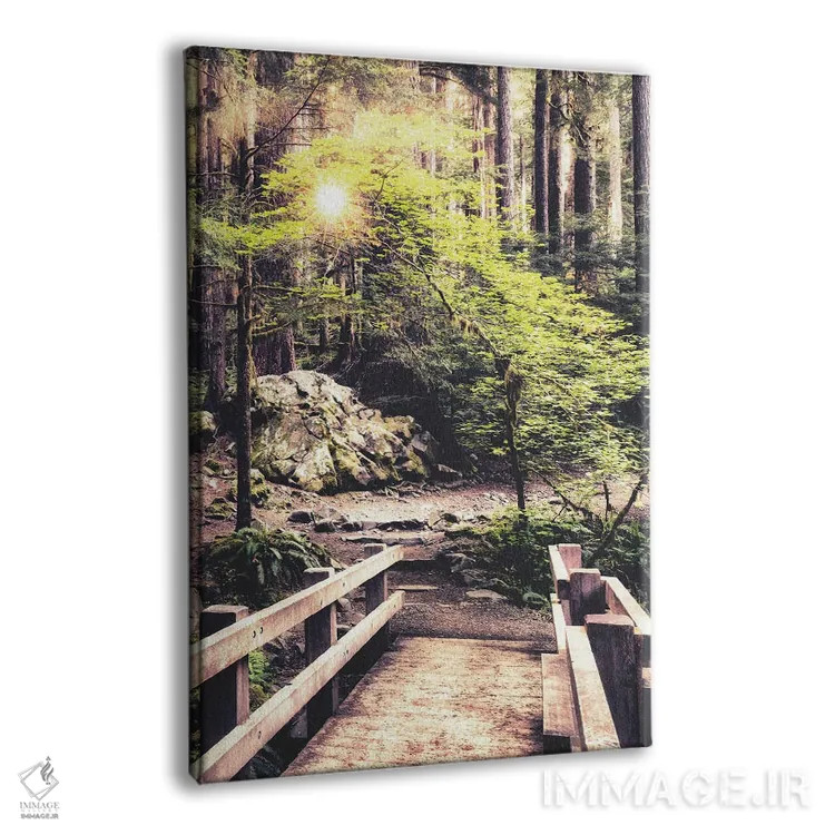 تابلو نور خورشید روی مسیر جنگلی اثر اندی اموس - نمای پرسپکتیو محصول
