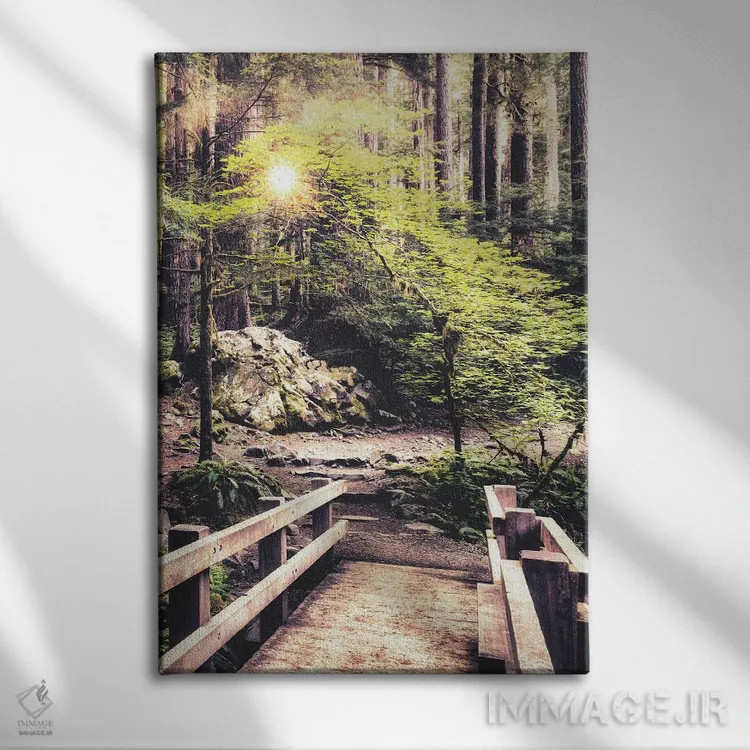 تابلو نور خورشید روی مسیر جنگلی اثر اندی اموس - نمای روبهرو روی دیوار