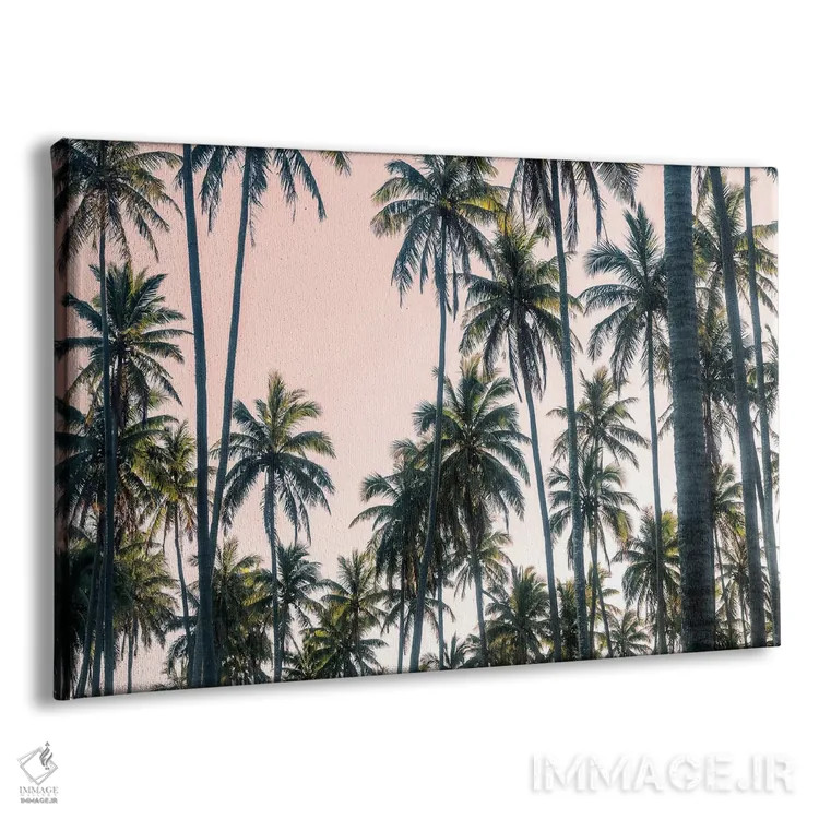 تابلو نمای نخلها روی آسمان صورتی II اثر اندی اموس - نمای پرسپکتیو محصول