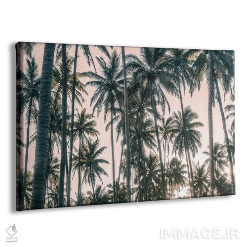 تابلو نمای نخلها روی آسمان صورتی I اثر اندی اموس - نمای پرسپکتیو محصول