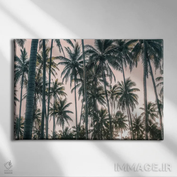 تابلو نمای نخلها روی آسمان صورتی I اثر اندی اموس - نمای روبهرو روی دیوار