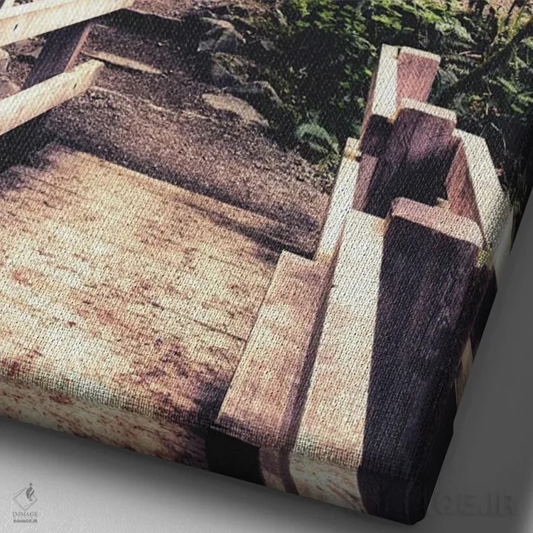 تابلو نور خورشید روی مسیر جنگلی اثر اندی اموس - نمای نزدیک بافت بوم