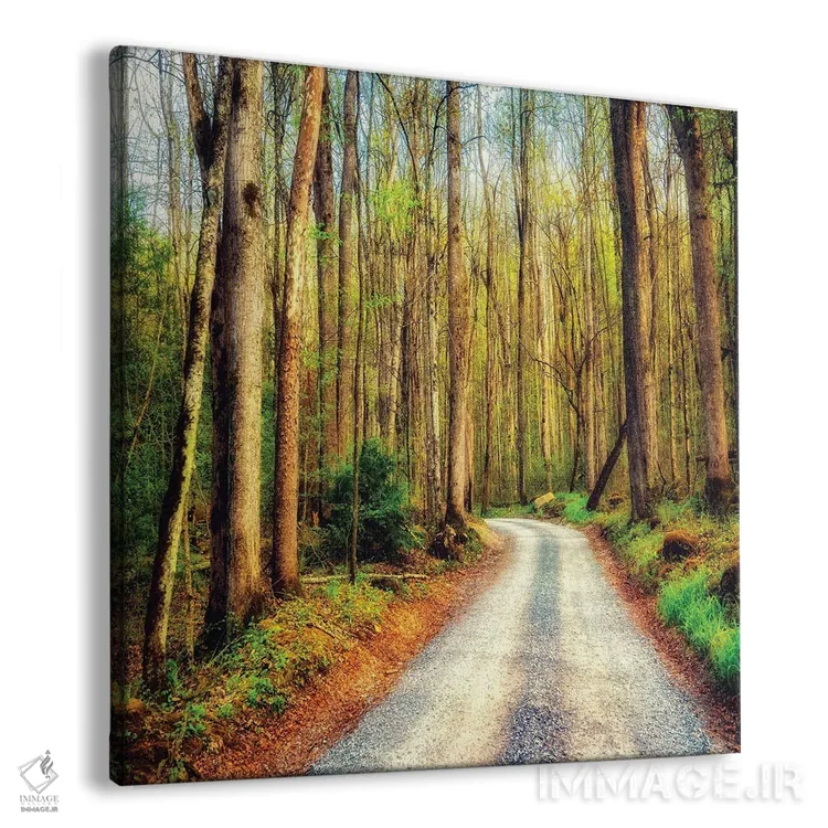 تابلو مسیر چوبی اثر اندی اموس - نمای پرسپکتیو محصول