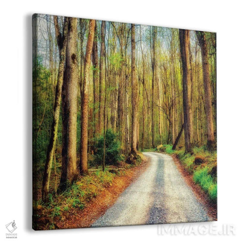 تابلو مسیر چوبی اثر اندی اموس - نمای پرسپکتیو محصول