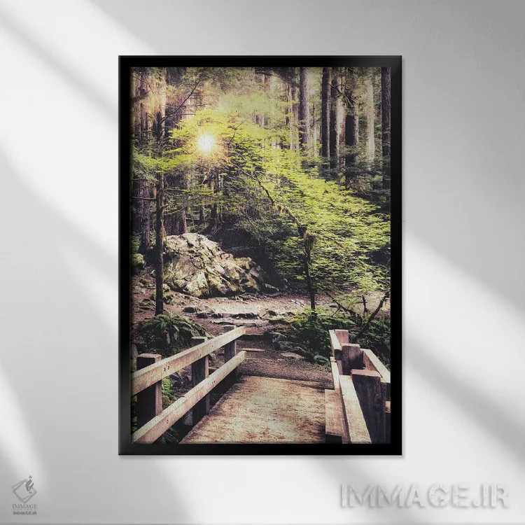 تابلو نور خورشید روی مسیر جنگلی اثر اندی اموس - نمای قابدار مشکی