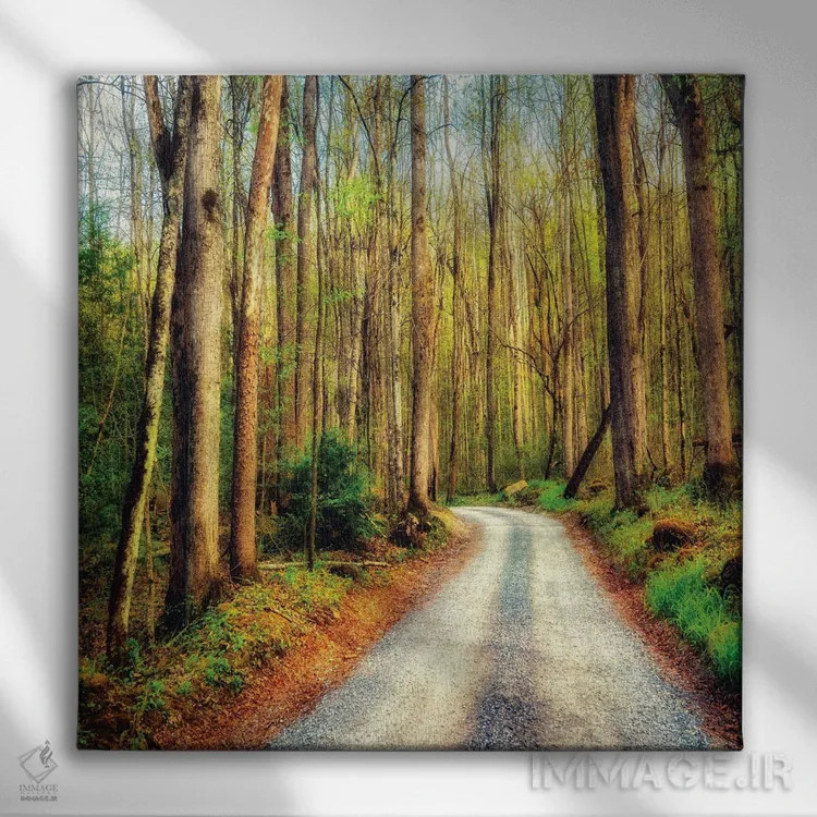 تابلو مسیر چوبی اثر اندی اموس - نمای روبهرو روی دیوار