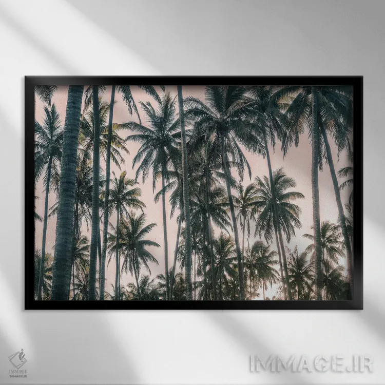 تابلو نمای نخلها روی آسمان صورتی I اثر اندی اموس - نمای قابدار مشکی