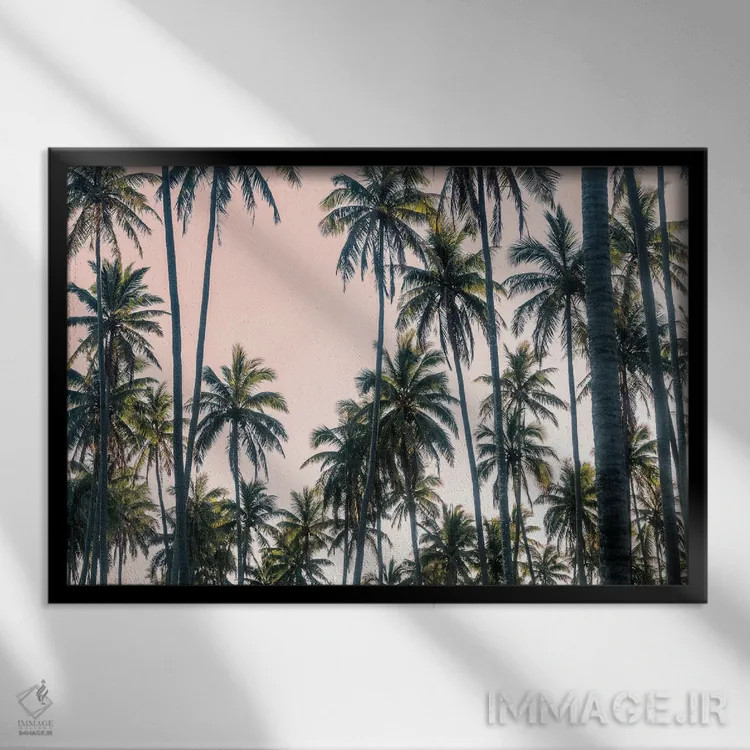 تابلو نمای نخلها روی آسمان صورتی II اثر اندی اموس - نمای قابدار مشکی