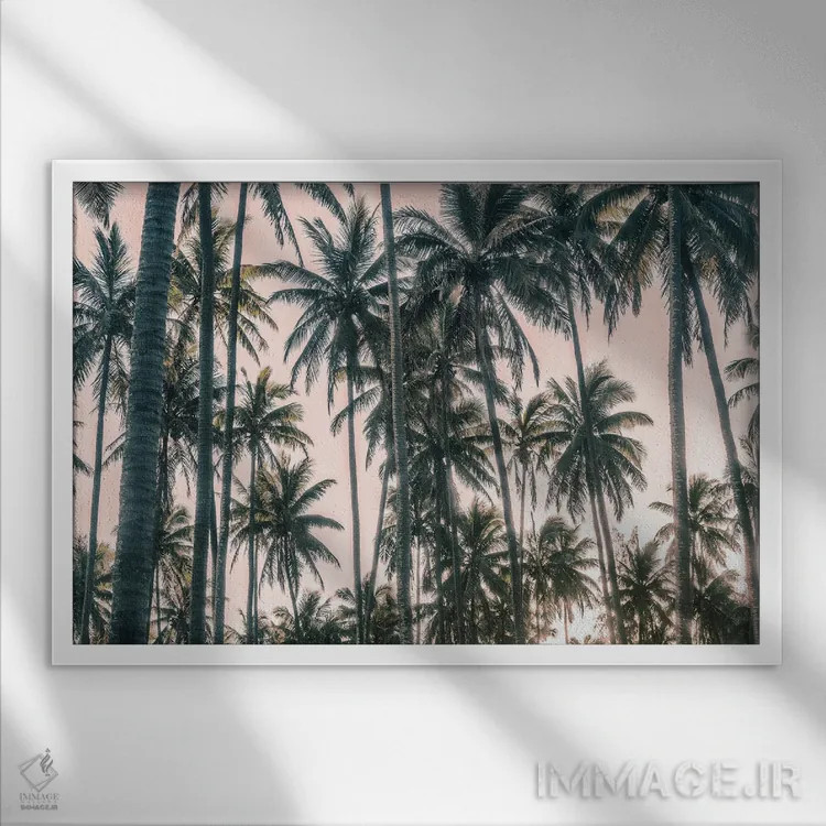 تابلو نمای نخلها روی آسمان صورتی I اثر اندی اموس - نمای قابدار سفید