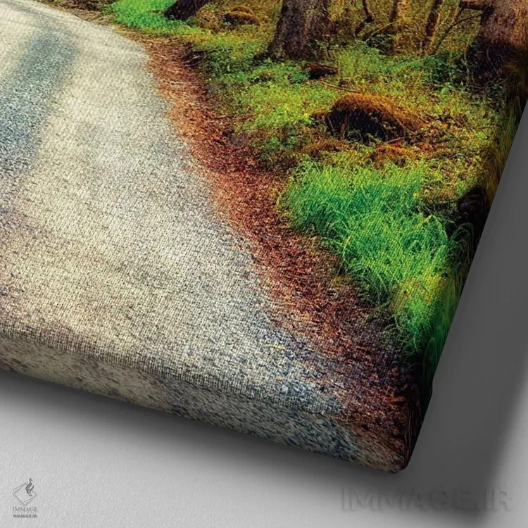 تابلو مسیر چوبی اثر اندی اموس - نمای نزدیک بافت بوم