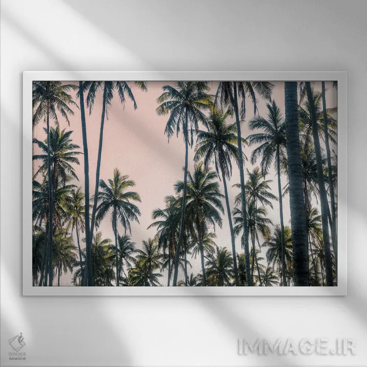 تابلو نمای نخلها روی آسمان صورتی II اثر اندی اموس - نمای قابدار سفید