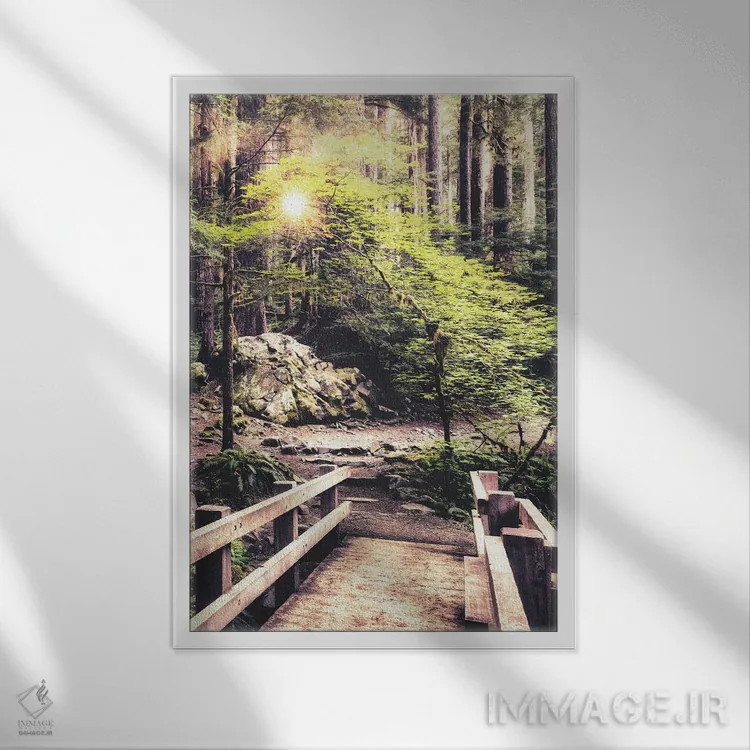 تابلو نور خورشید روی مسیر جنگلی اثر اندی اموس - نمای قابدار سفید