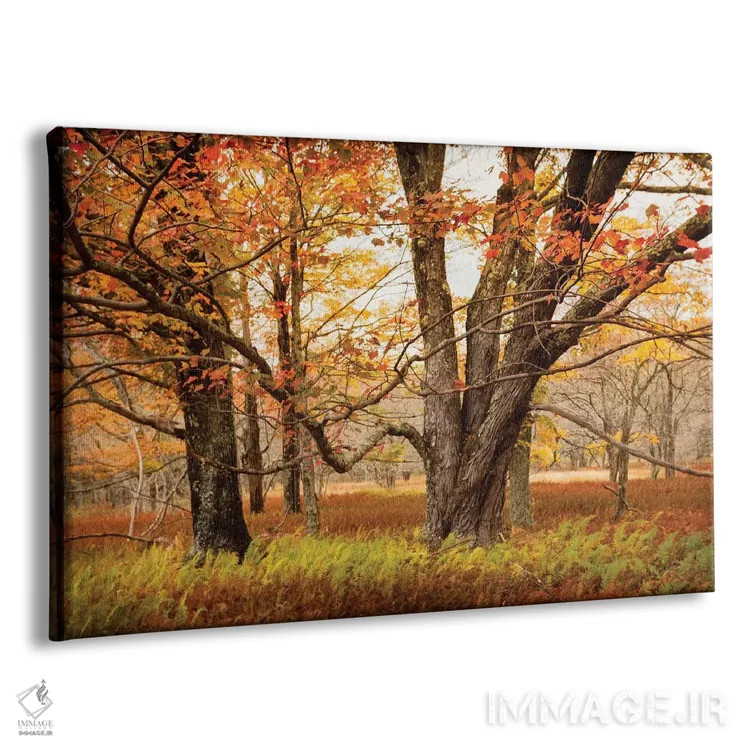 تابلو تقاطع مسیرها اثر اندی اموس - نمای پرسپکتیو محصول