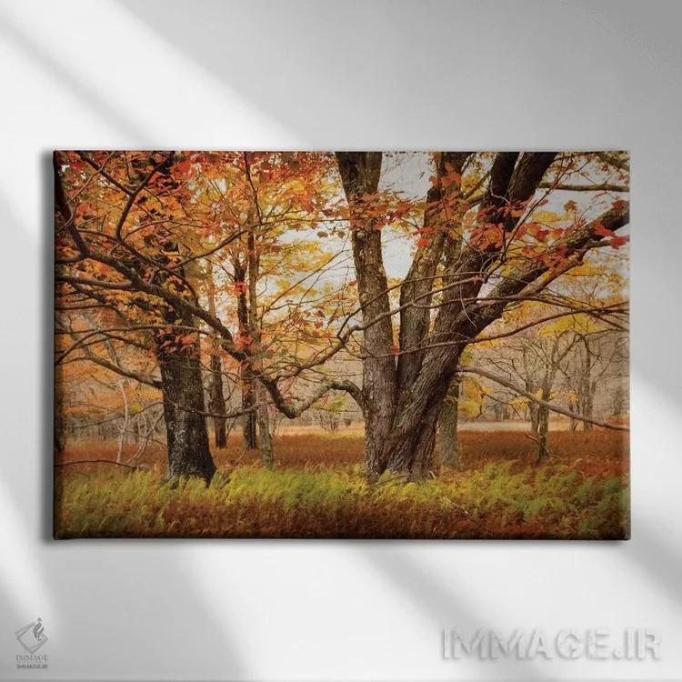 تابلو تقاطع مسیرها اثر اندی اموس - نمای روبهرو روی دیوار