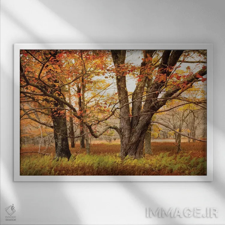 تابلو تقاطع مسیرها اثر اندی اموس - نمای قابدار سفید