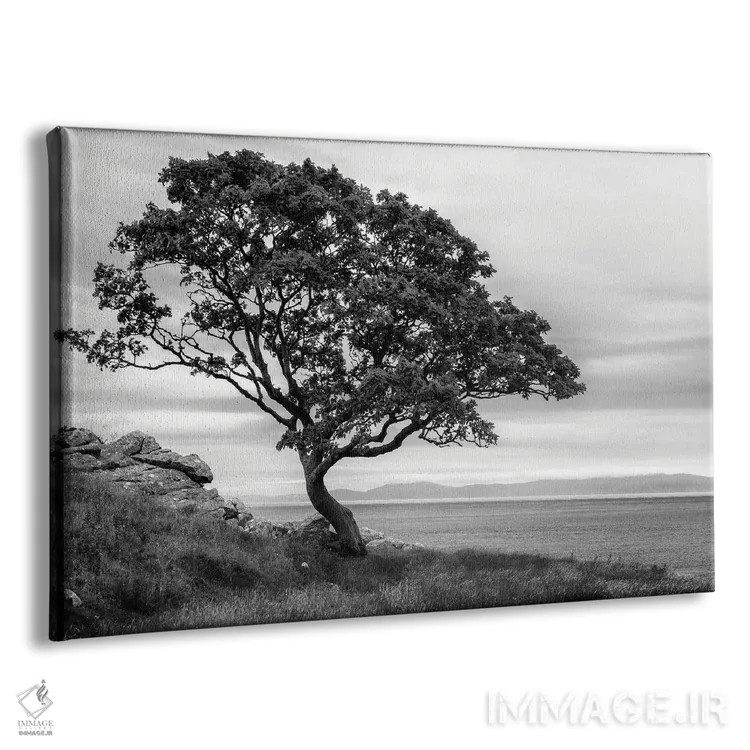 تابلو درخت بونسای اثر اندی اموس - نمای پرسپکتیو محصول