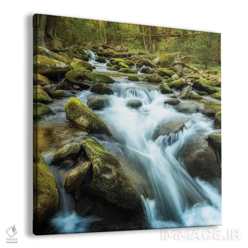 تابلو رودخانهٔ جنگلی اثر اندی اموس - نمای پرسپکتیو محصول