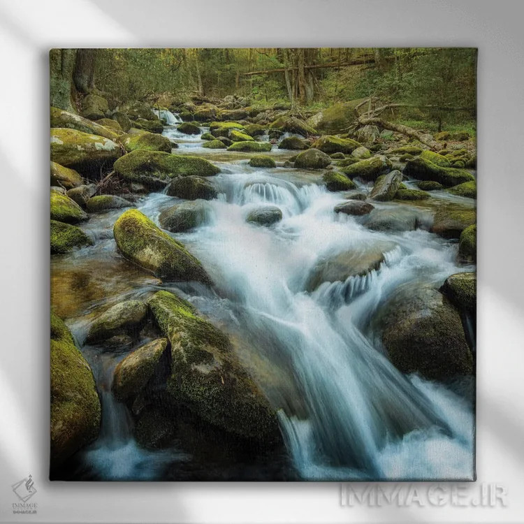 تابلو رودخانهٔ جنگلی اثر اندی اموس - نمای روبهرو روی دیوار