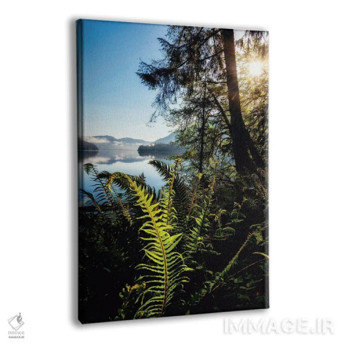 تابلو چشمانداز کنار دریاچه اثر اندی اموس - نمای پرسپکتیو محصول