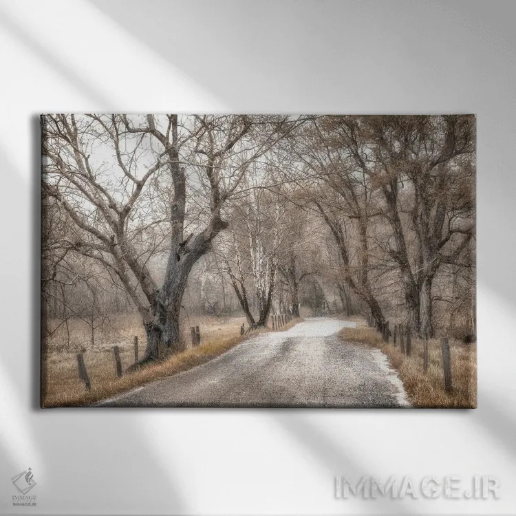 تابلو پیادهروی اواخر بعدازظهر در زمستان اثر اندی اموس - نمای روبهرو روی دیوار