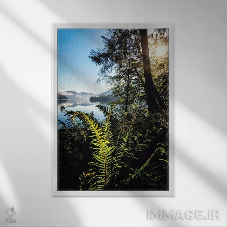 تابلو چشمانداز کنار دریاچه اثر اندی اموس - نمای قابدار سفید