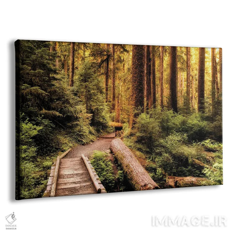 تابلو مسیر طبیعتگردی اثر اندی اموس - نمای پرسپکتیو محصول