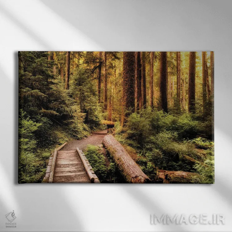 تابلو مسیر طبیعتگردی اثر اندی اموس - نمای روبهرو روی دیوار