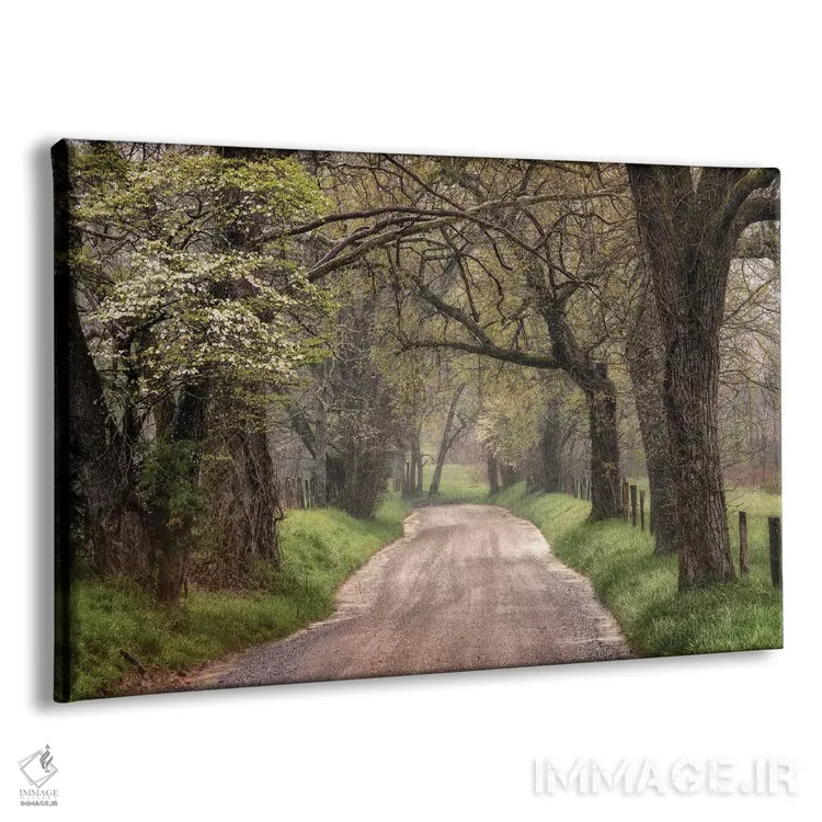 تابلو پیادهروی در مسیر طبیعت اثر اندی اموس - نمای پرسپکتیو محصول