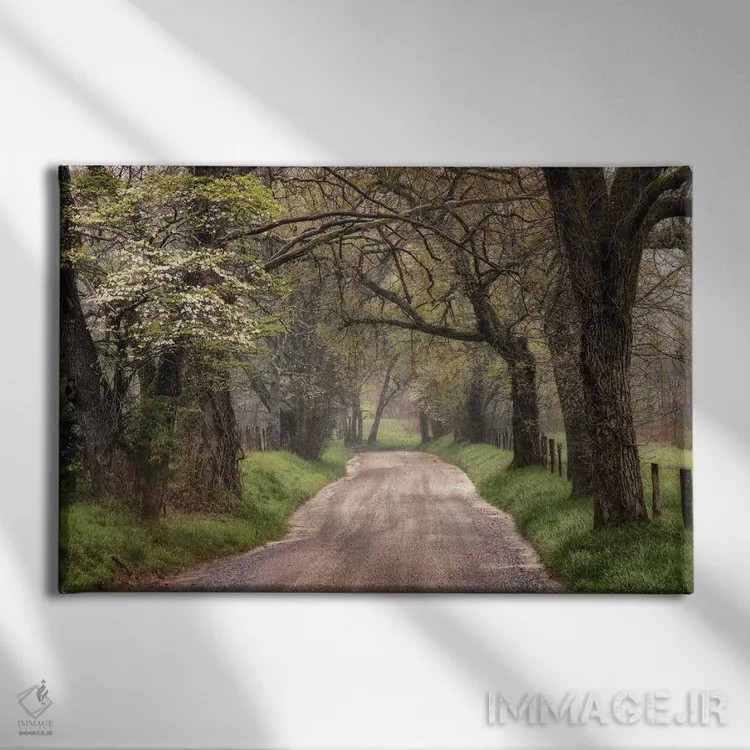 تابلو پیادهروی در مسیر طبیعت اثر اندی اموس - نمای روبهرو روی دیوار