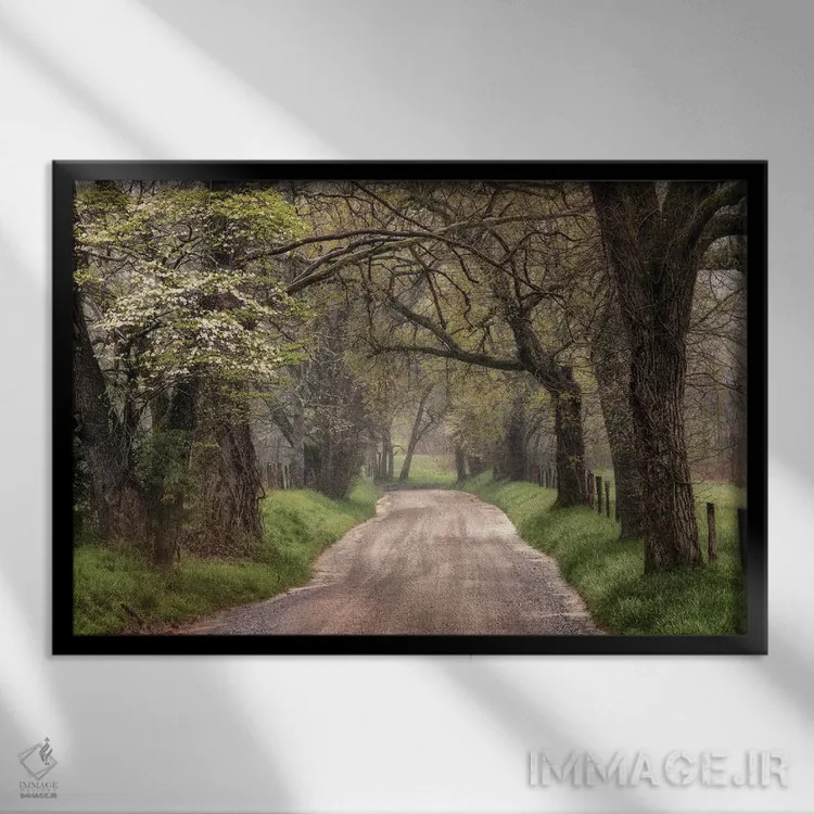 تابلو پیادهروی در مسیر طبیعت اثر اندی اموس - نمای قابدار مشکی