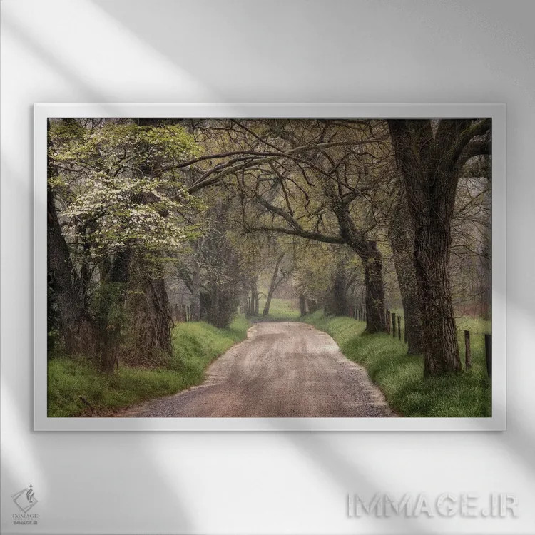 تابلو پیادهروی در مسیر طبیعت اثر اندی اموس - نمای قابدار سفید