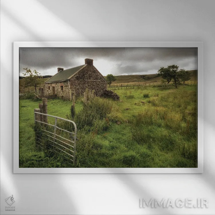 تابلو روزی در خانه اثر اندی اموس - نمای قابدار سفید