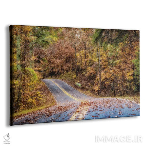 تابلو جاده جنگلی II اثر اندی اموس - نمای پرسپکتیو محصول