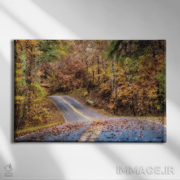 تابلو جاده جنگلی II اثر اندی اموس - نمای روبهرو روی دیوار