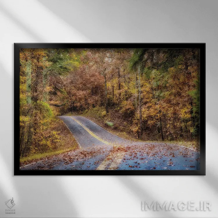 تابلو جاده جنگلی II اثر اندی اموس - نمای قابدار مشکی