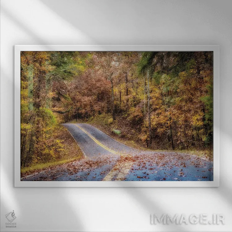 تابلو جاده جنگلی II اثر اندی اموس - نمای قابدار سفید