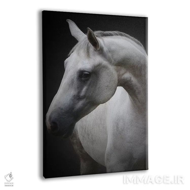 تابلو مگی (نام کوچک) اثر آویشای آویوی - نمای پرسپکتیو محصول