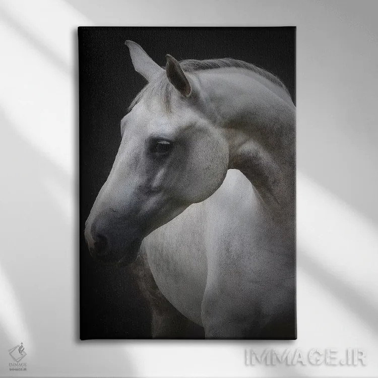 تابلو مگی (نام کوچک) اثر آویشای آویوی - نمای روبهرو روی دیوار