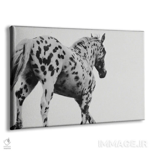 تابلو ۱۰۱ دلیل برای سواری اثر آنا آرشینگر - نمای پرسپکتیو محصول