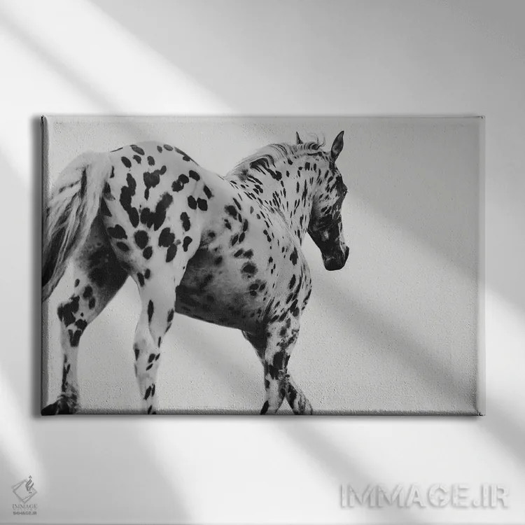 تابلو ۱۰۱ دلیل برای سواری اثر آنا آرشینگر - نمای روبهرو روی دیوار