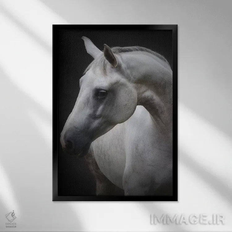 تابلو مگی (نام کوچک) اثر آویشای آویوی - نمای قابدار مشکی