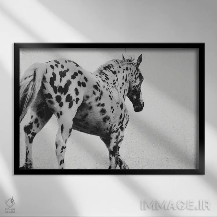 تابلو ۱۰۱ دلیل برای سواری اثر آنا آرشینگر - نمای قابدار مشکی