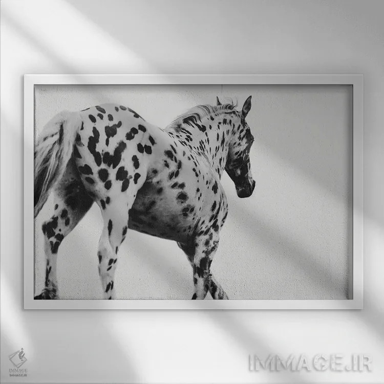 تابلو ۱۰۱ دلیل برای سواری اثر آنا آرشینگر - نمای قابدار سفید