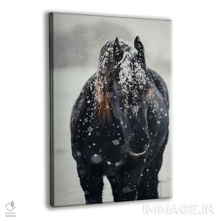 تابلو یافتن آرامش در سرما اثر آنا آرشینگر - نمای پرسپکتیو محصول