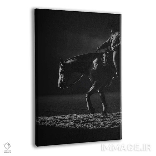 تابلو زیبایی در حرکت اثر آنا آرشینگر - نمای پرسپکتیو محصول