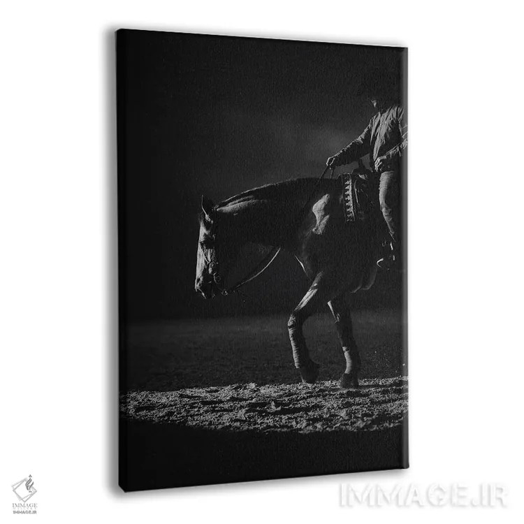 تابلو زیبایی در حرکت اثر آنا آرشینگر - نمای پرسپکتیو محصول