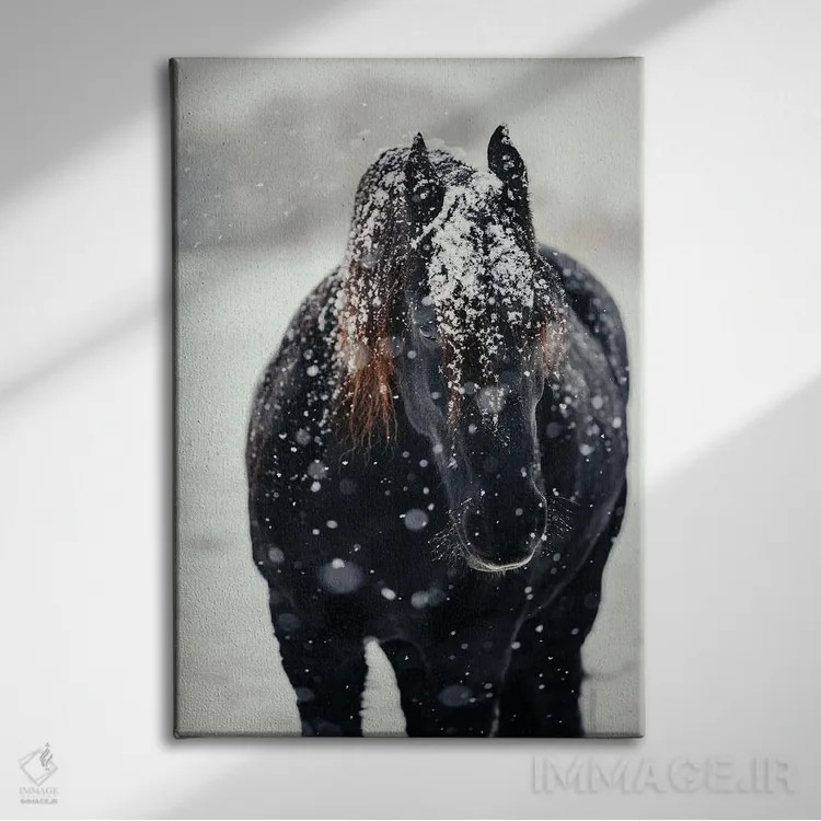 تابلو یافتن آرامش در سرما اثر آنا آرشینگر - نمای روبهرو روی دیوار