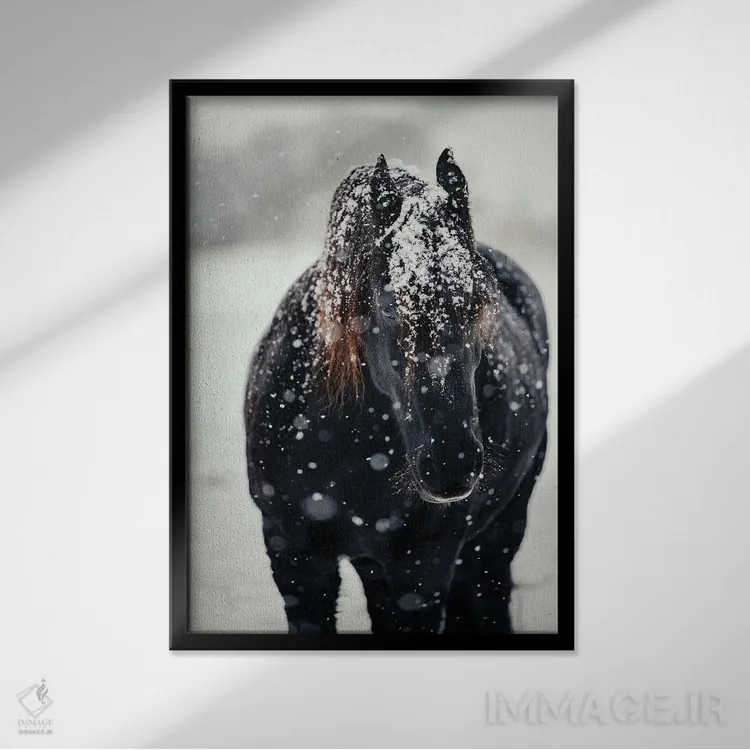 تابلو یافتن آرامش در سرما اثر آنا آرشینگر - نمای قابدار مشکی